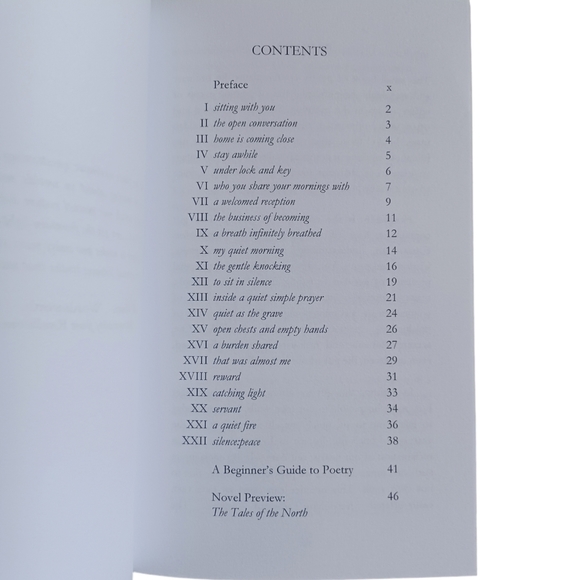 3 For $15 / Book Of Poetry "As Steam Rises" by David Michael Lippman, Cozy Read - Picture 6 of 7